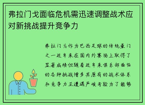 弗拉门戈面临危机需迅速调整战术应对新挑战提升竞争力